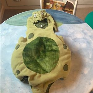 Children’s Place turtle costume